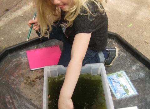 Parklands Day Nursery - Outdoors