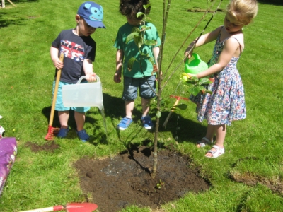 Parklands Day Nursery -  Fruit tree planting