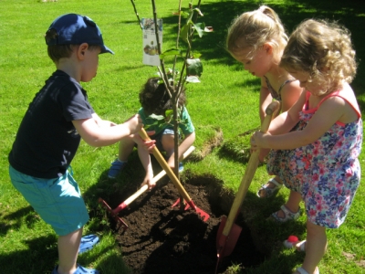 Parklands Day Nursery -  Fruit tree planting