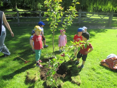 Parklands Day Nursery -  Fruit tree planting