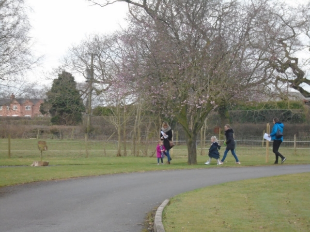 Easter activities and hunt at Parklands Day Nursery
