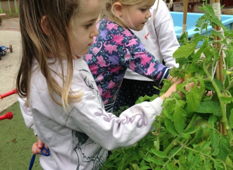 Pre-School - Parklands Day Nursery