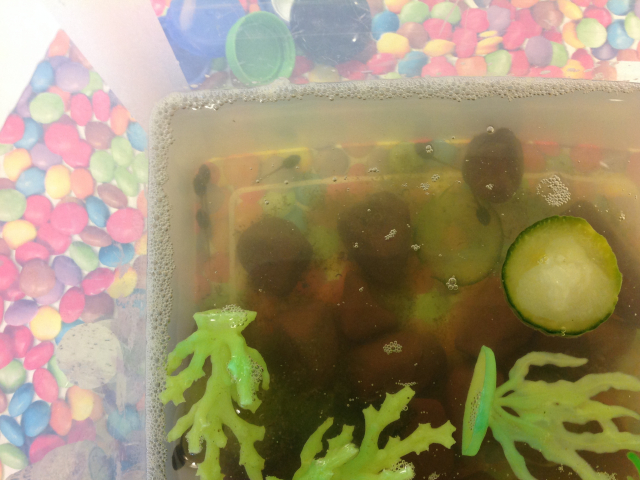 Tadpoles at Parklands Day Nursery