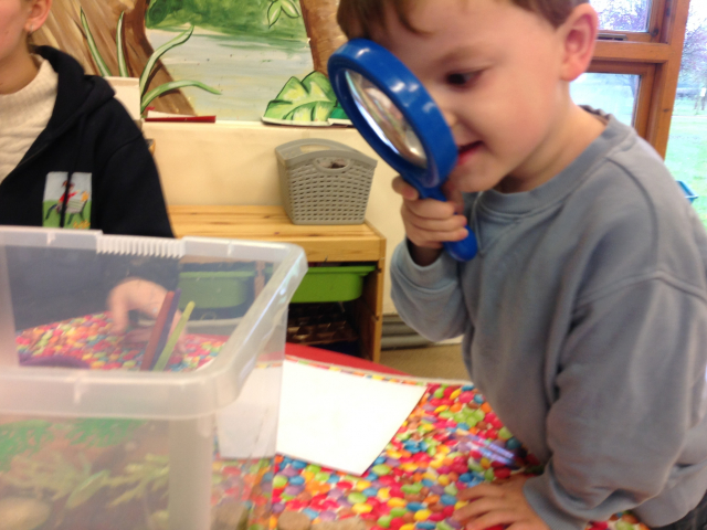 Tadpoles at Parklands Day Nursery