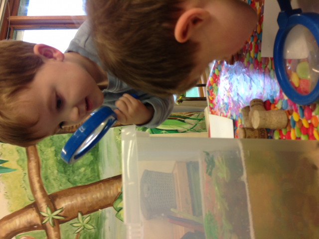 Tadpoles at Parklands Day Nursery