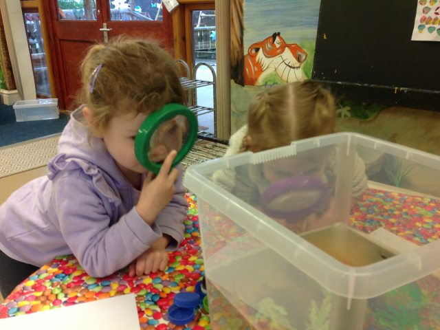 Tadpoles at Parklands Day Nursery