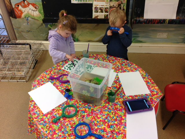 Tadpoles at Parklands Day Nursery