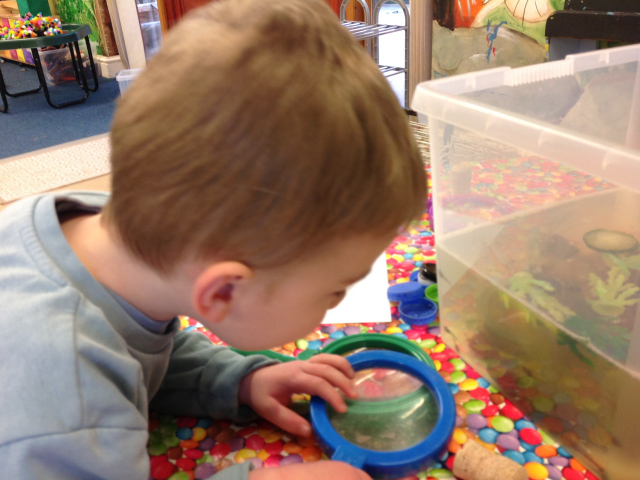 Tadpoles at Parklands Day Nursery