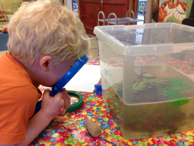 Tadpoles at Parklands Day Nursery