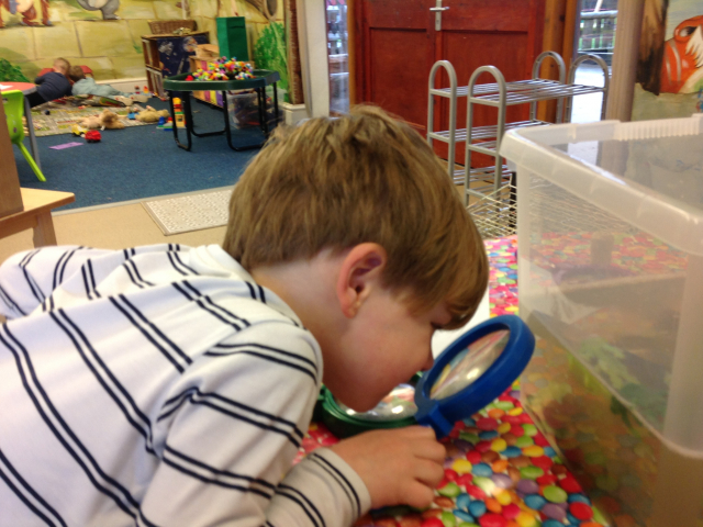 Tadpoles at Parklands Day Nursery