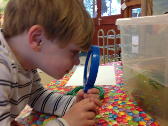 Tadpoles at Parklands Day Nursery