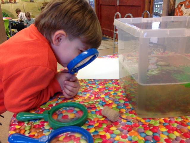 Tadpoles at Parklands Day Nursery