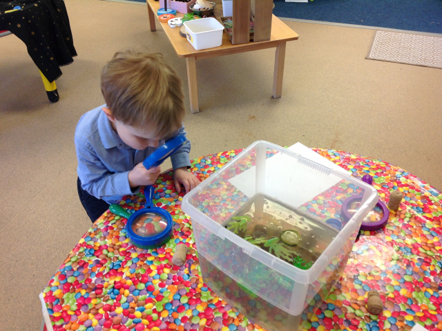 Tadpoles at Parklands Day Nursery