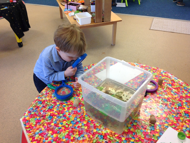 Tadpoles at Parklands Day Nursery