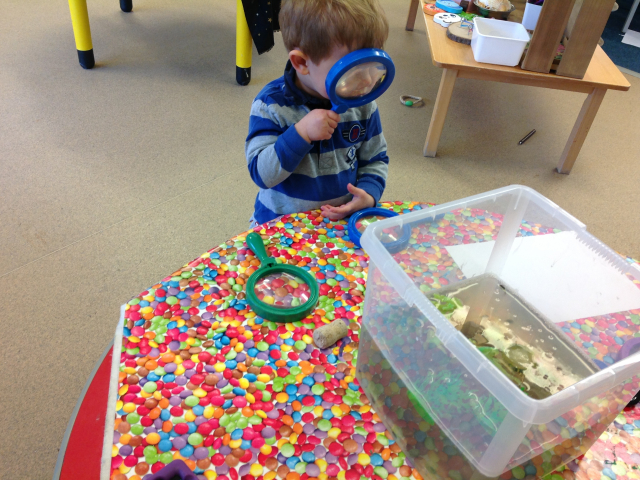 Tadpoles at Parklands Day Nursery