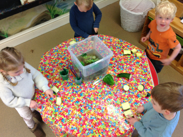 Tadpoles at Parklands Day Nursery