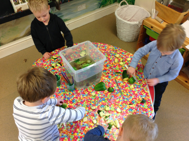 Tadpoles at Parklands Day Nursery