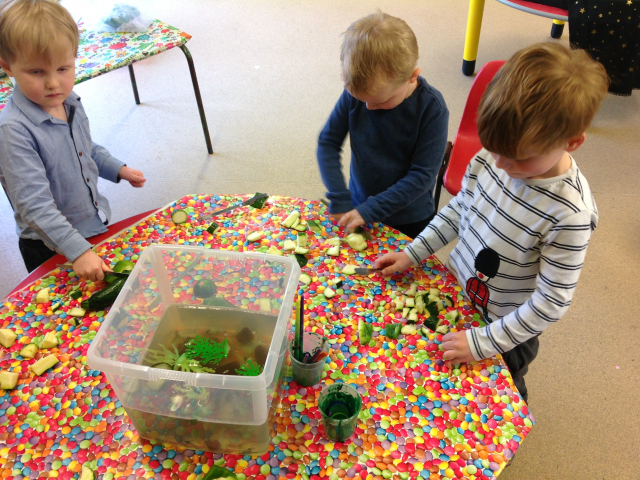 Tadpoles at Parklands Day Nursery