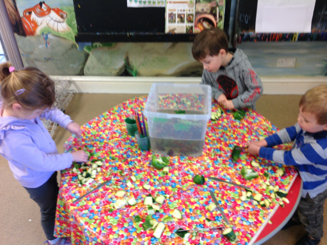 Tadpoles at Parklands Day Nursery