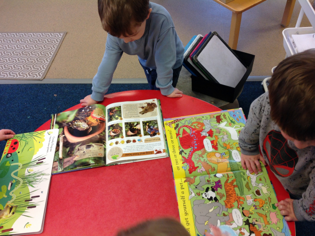 Tadpoles at Parklands Day Nursery