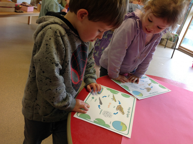 Tadpoles at Parklands Day Nursery