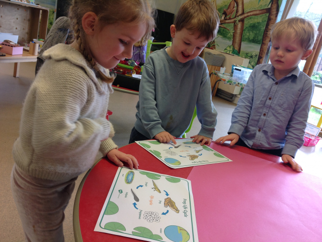 Tadpoles at Parklands Day Nursery